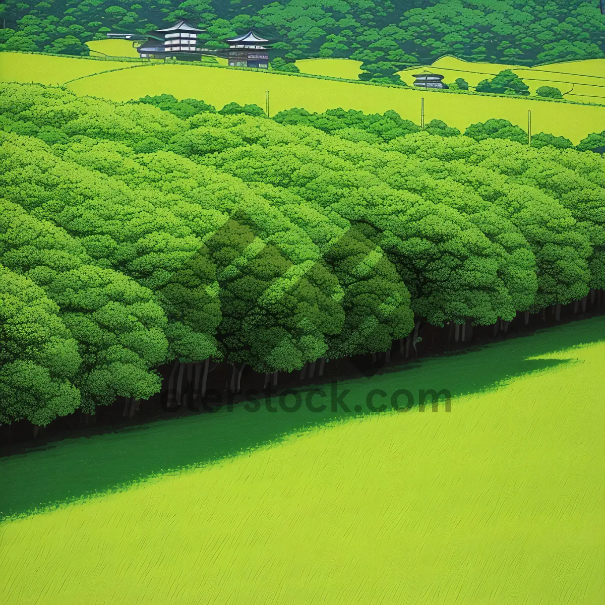 Picture of Serene Summer Tea Plantation Amidst Countryside Landscape