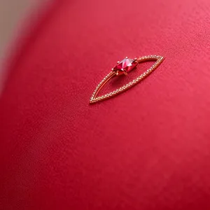 Close-up of Hand Holding Insect Arthropod Slug