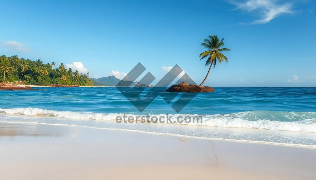 Picture of Tropical paradise beach with palm trees and waves.