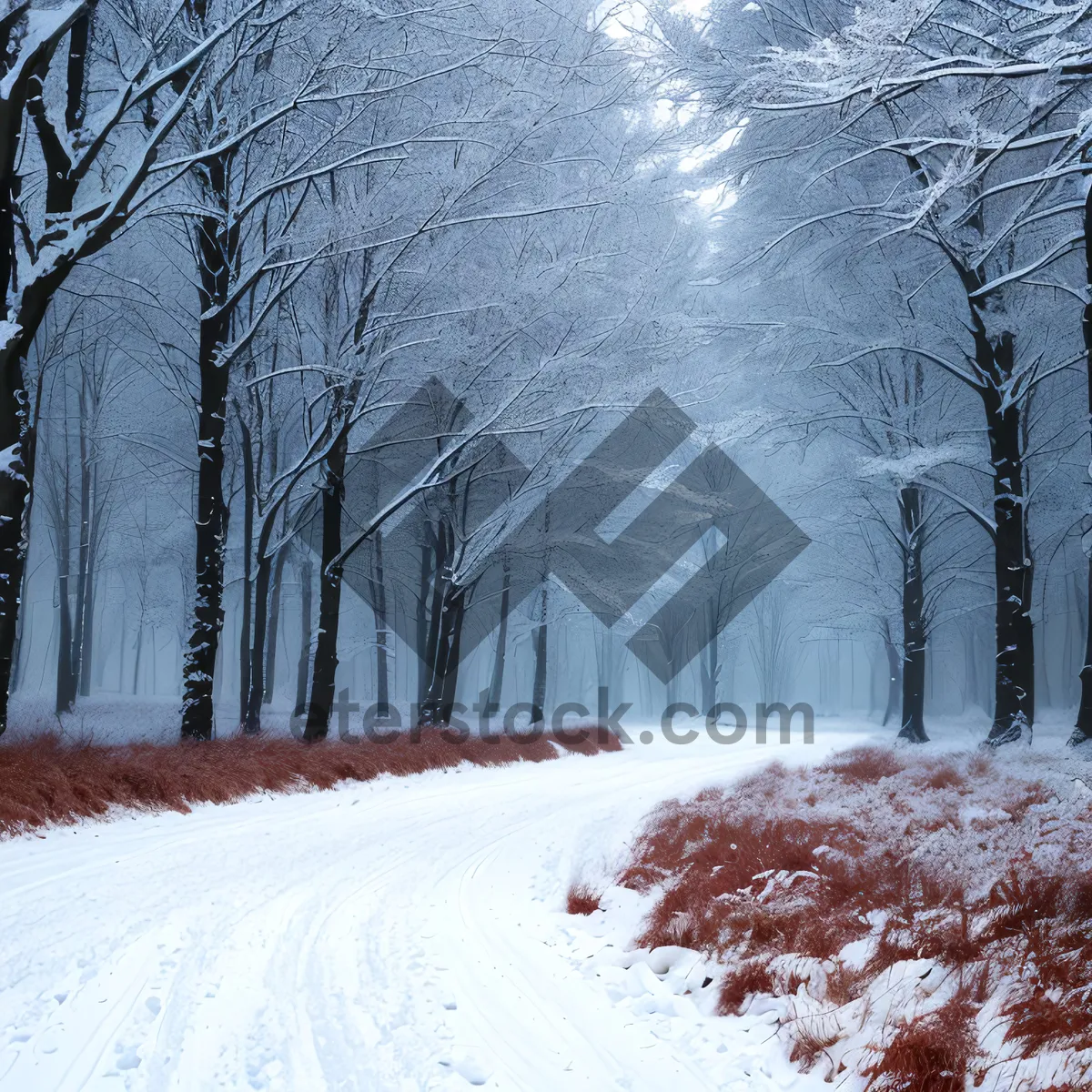 Picture of Winter Wonderland: Majestic snowy forest landscape