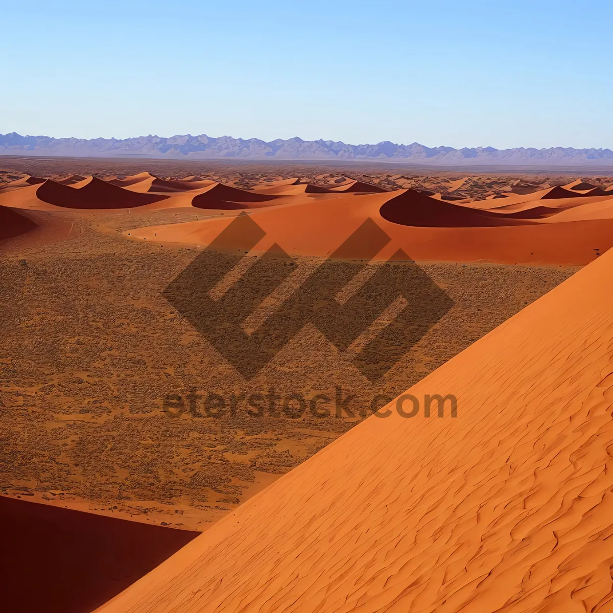 Picture of Scorching Sahara: Majestic Desert Dunes Under the Sun