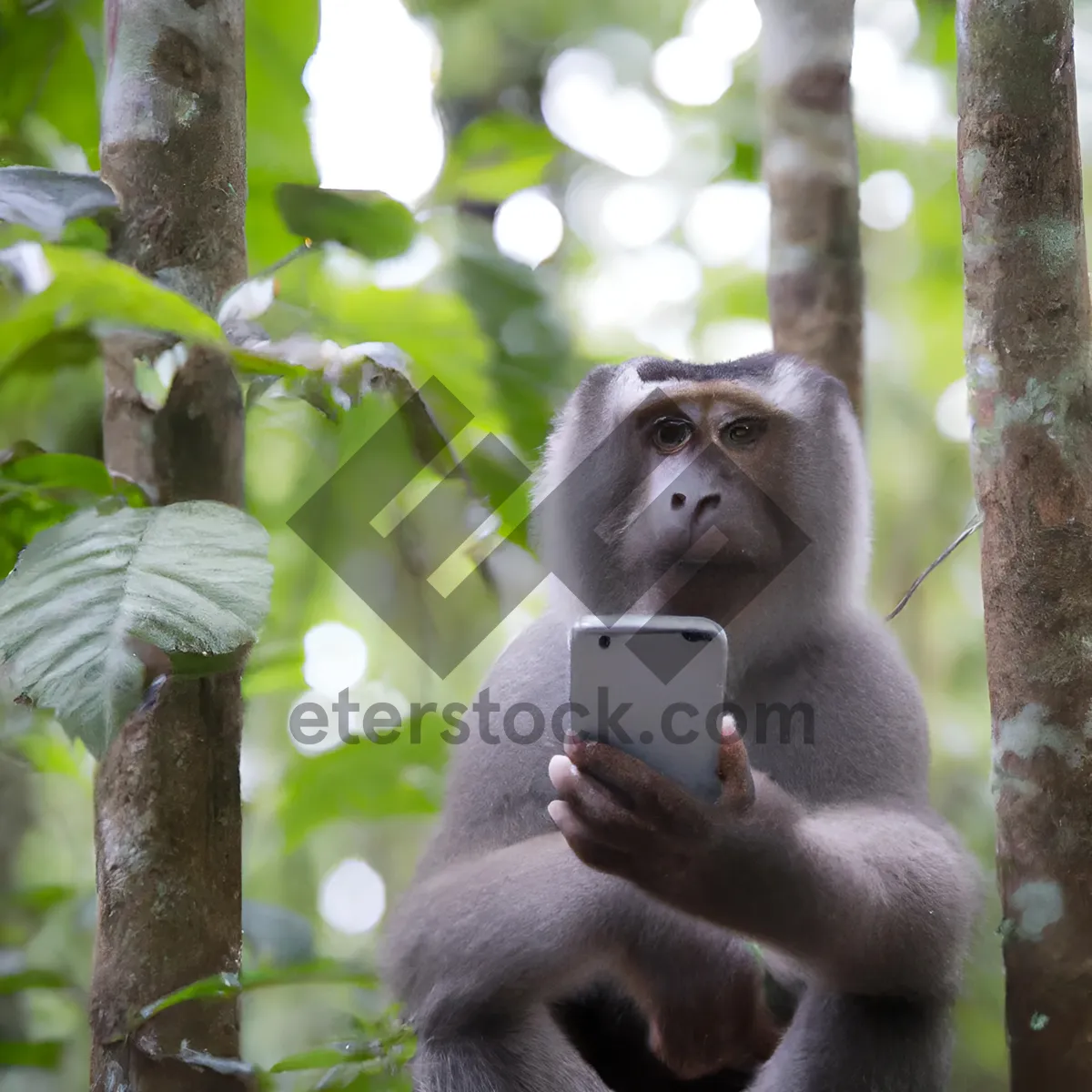 Picture of Primate family in the wild jungle habitat.