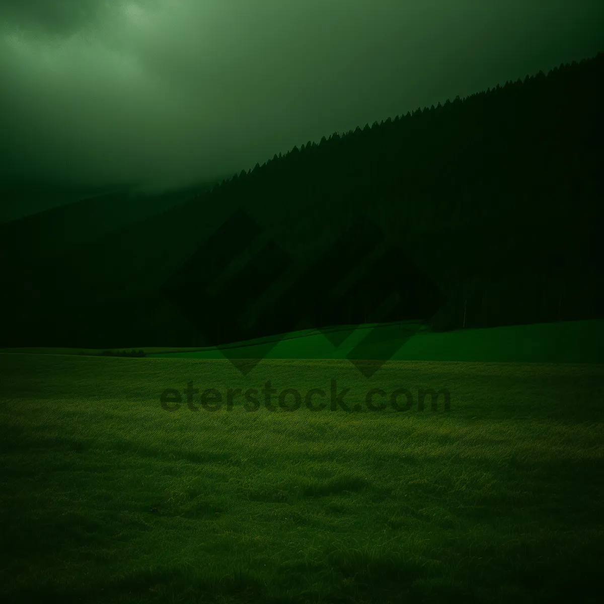 Picture of Green Golf Course under Blue Sky