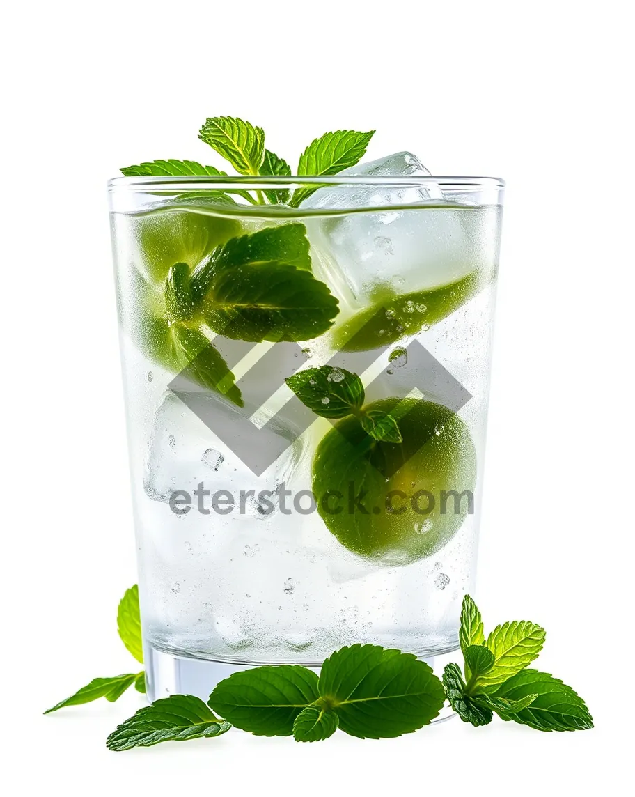 Picture of Organic citrus herb drink with fresh plant leaf