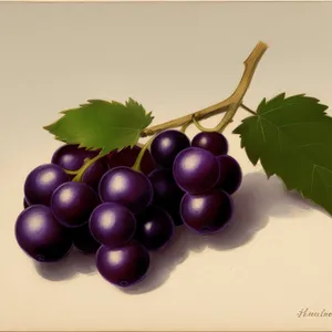Ripe, Juicy Grape Cluster - A Burst of Vitamin-Packed Sweetness!