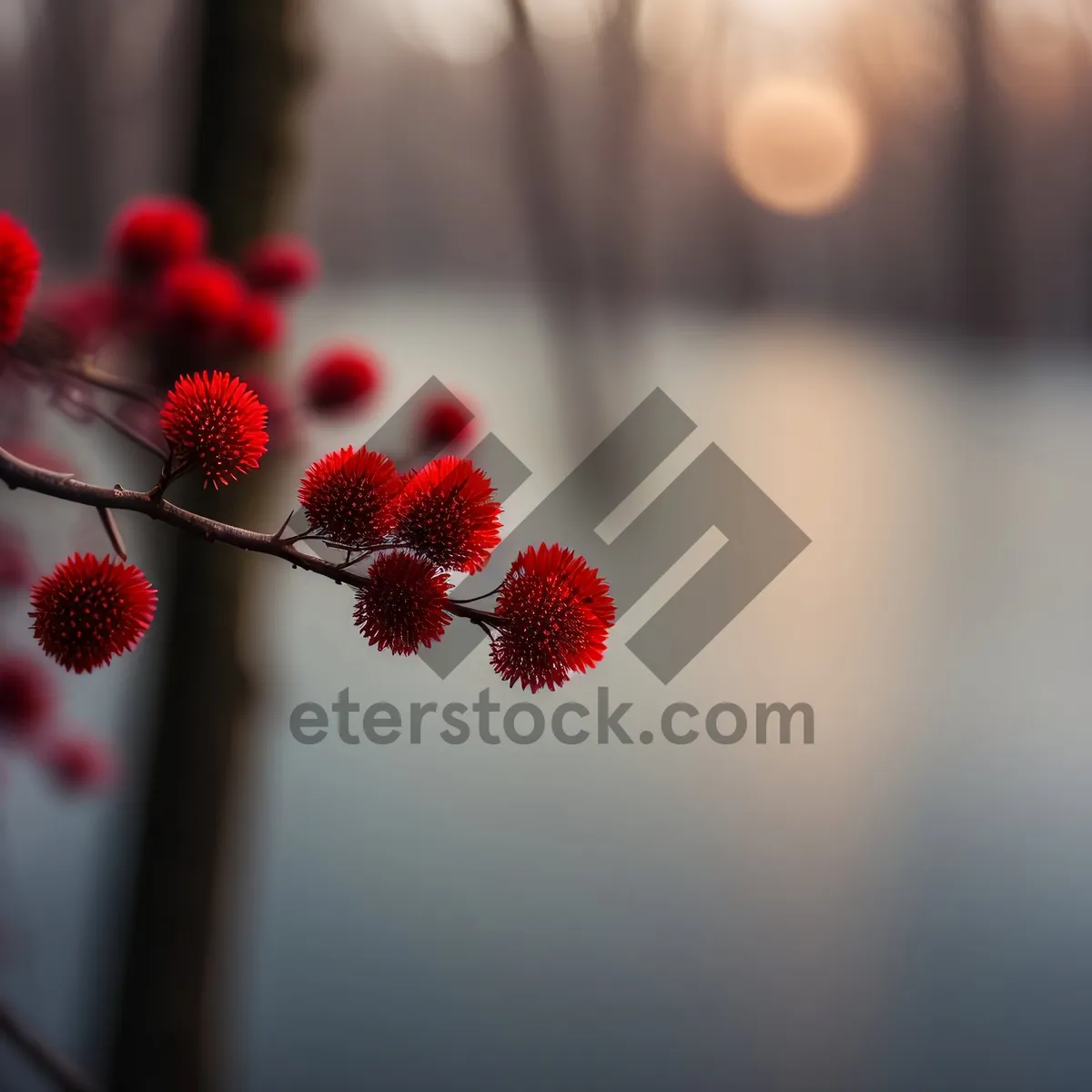 Picture of Juicy Strawberry Bush Berries - Refreshing Summer Delight