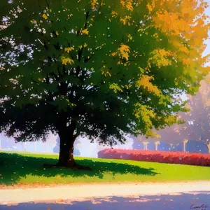 Golden Fall Canopy in Park