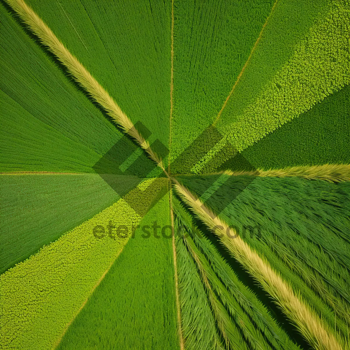 Picture of Vibrant Green Leaf Pattern with Light Texture