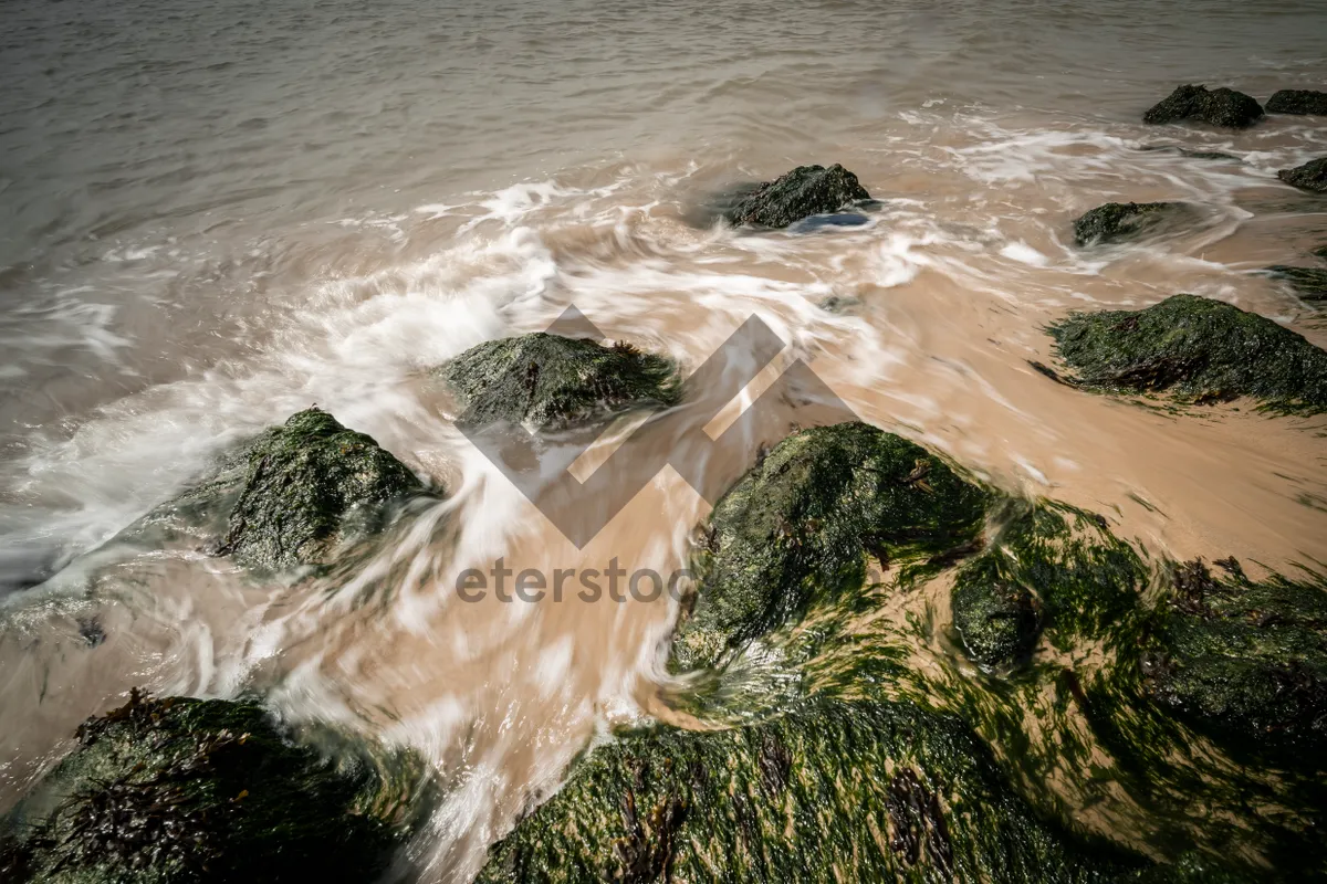Picture of Tropical beach with waves crashing on rocks