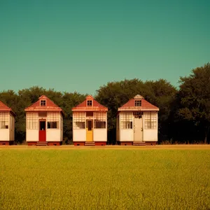 Rural farmhouse with rapeseed fields and old barn