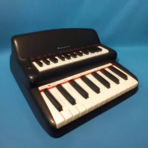 Black Piano Accordion - Musical Instrument