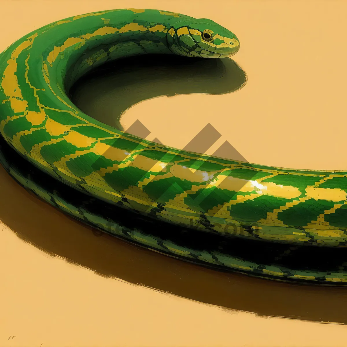 Picture of Green Mamba, the Menacing Reptile of the Wild