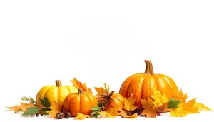 Autumn harvest arrangement of pumpkins and orange squash