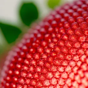 Juicy and Fresh Raspberry Berries - Delicious and Nutritious Summer Treat