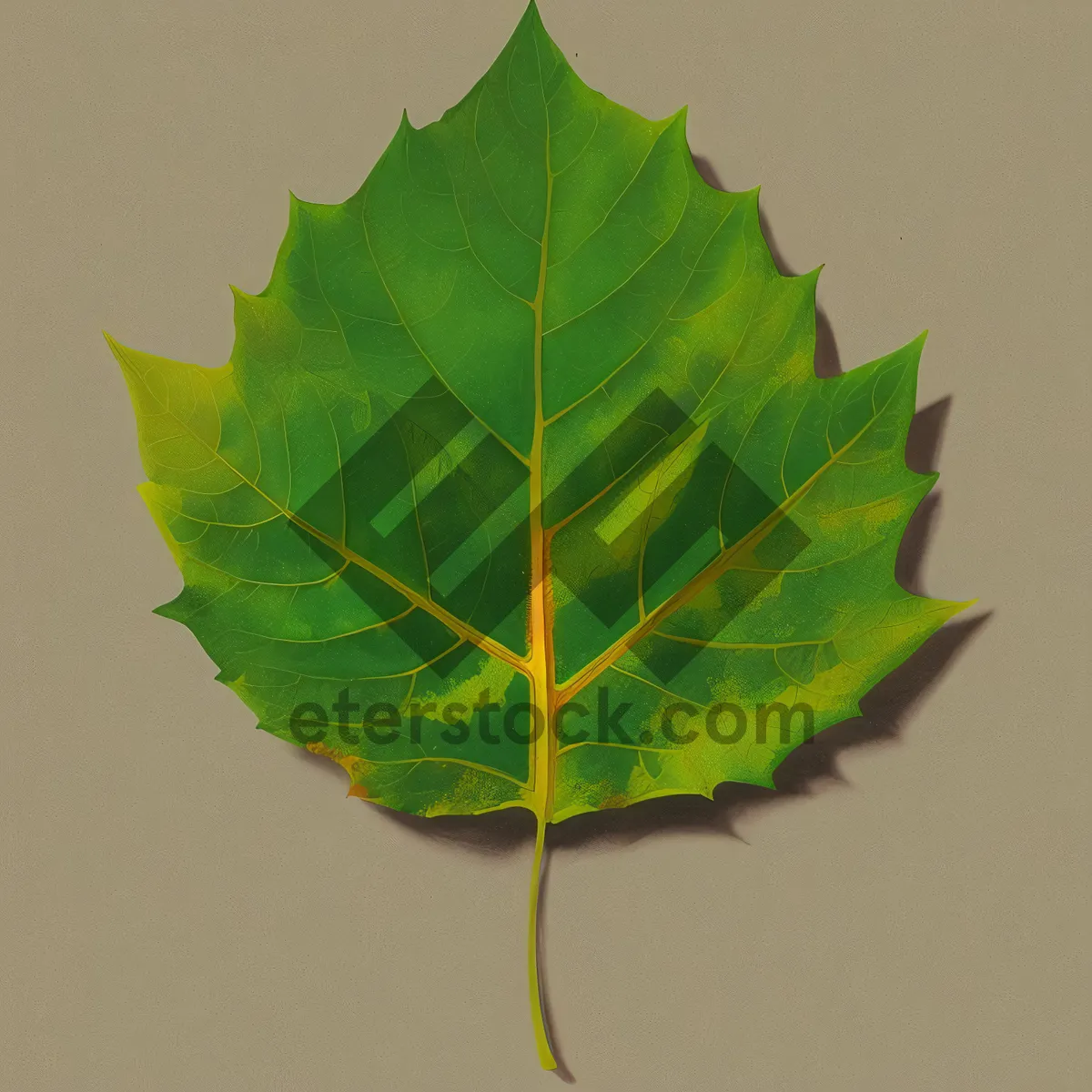 Picture of Vibrant Autumn Maple Leaf Close-Up