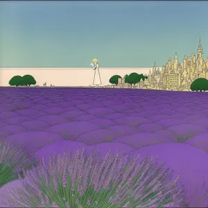 Idyllic Summer Field with Lavender Flowers and Purple Trees