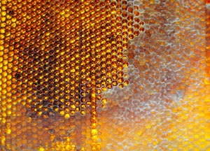 Yellow honeycomb pattern design for wallpaper backdrop.