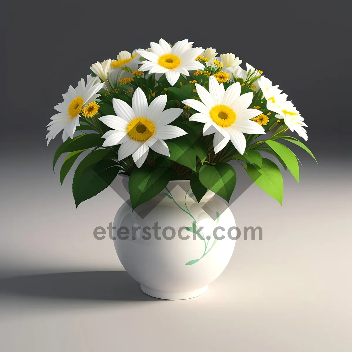 Picture of White Daisy Blossom in Summer Garden