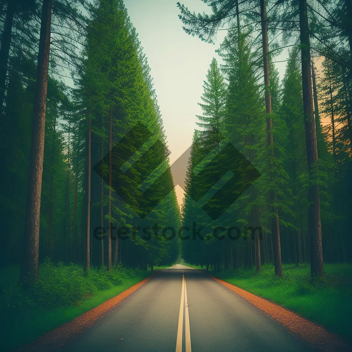 Picture of Forest Highway: Tranquil Pathway through Lush Greenery