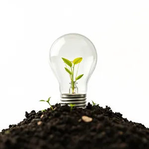 Perfume Bottle with Seedling in Glass Jar