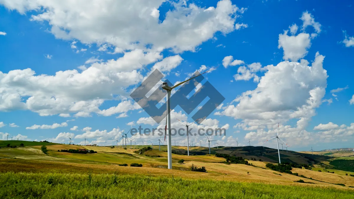 Picture of Sunny wind farm landscape with rural atmosphere