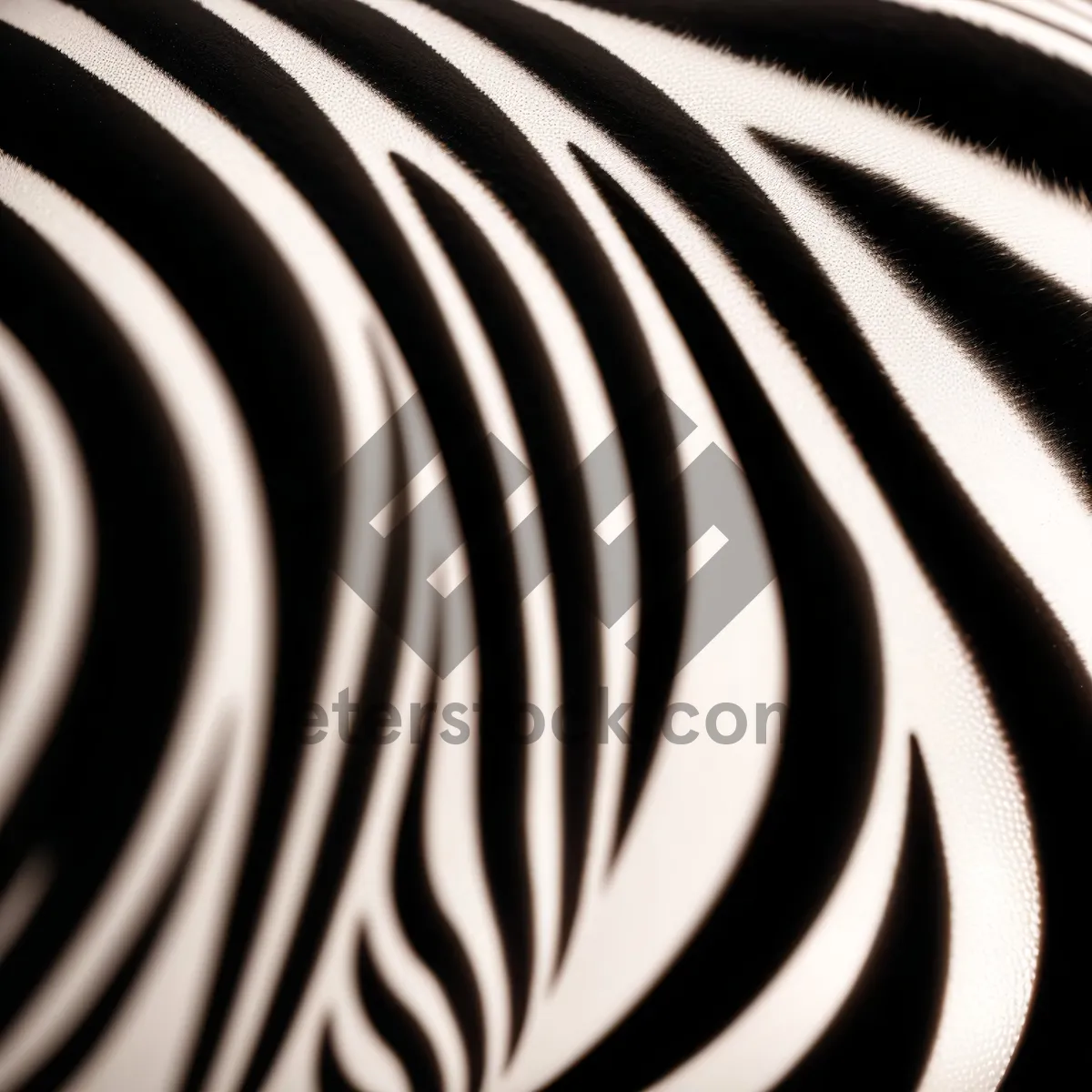 Picture of Striped Equine Spiral: Black Zebra Pattern on Safari