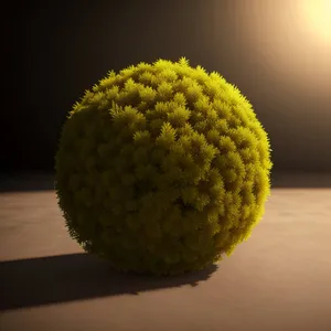 Closeup of Litchi Golf Ball on Grass