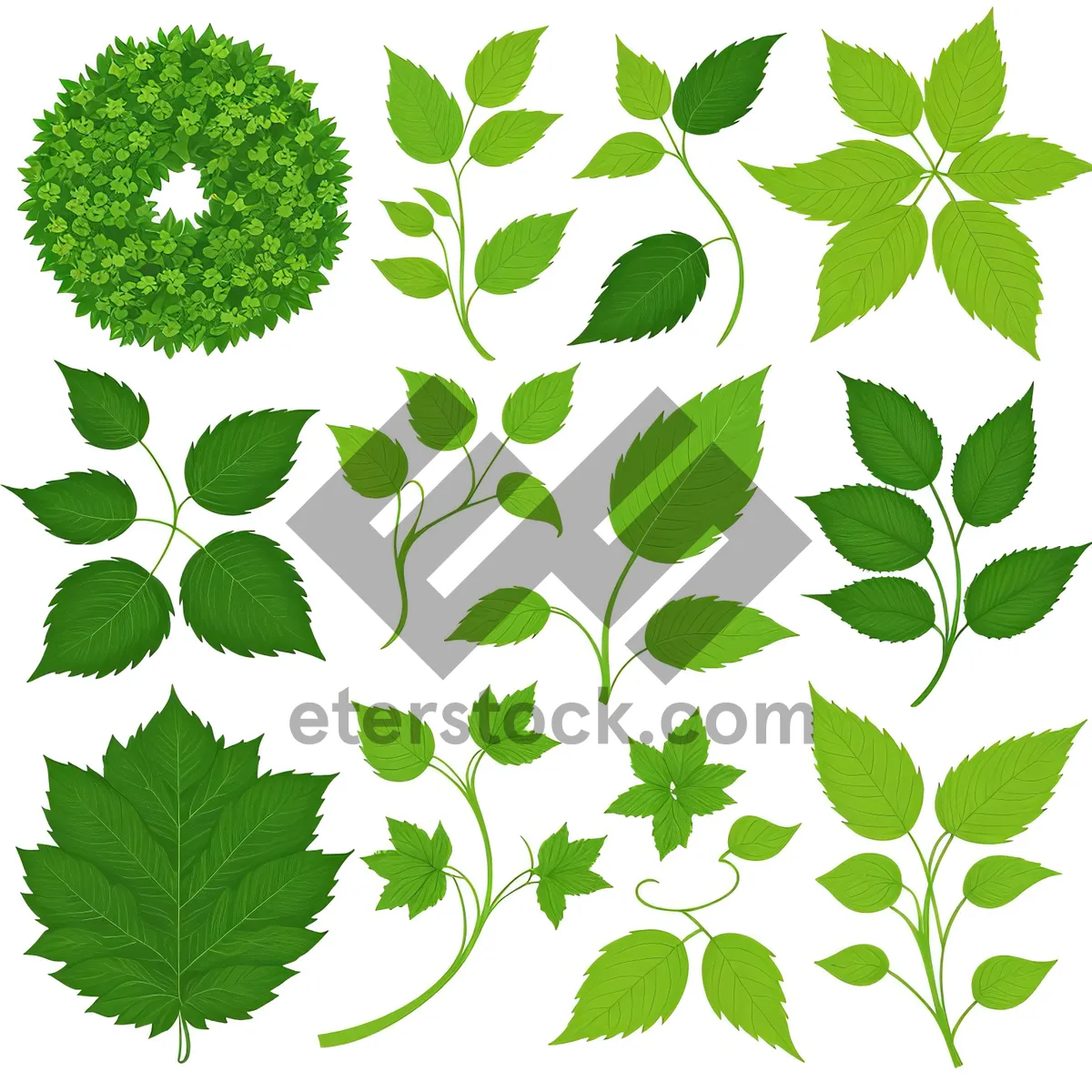 Picture of Spring Clover Leaf Floral Pattern Art