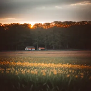 Serenity Over the Rolling Meadows