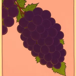 Vibrant Grape Vineyard Design with Honeycomb Pattern