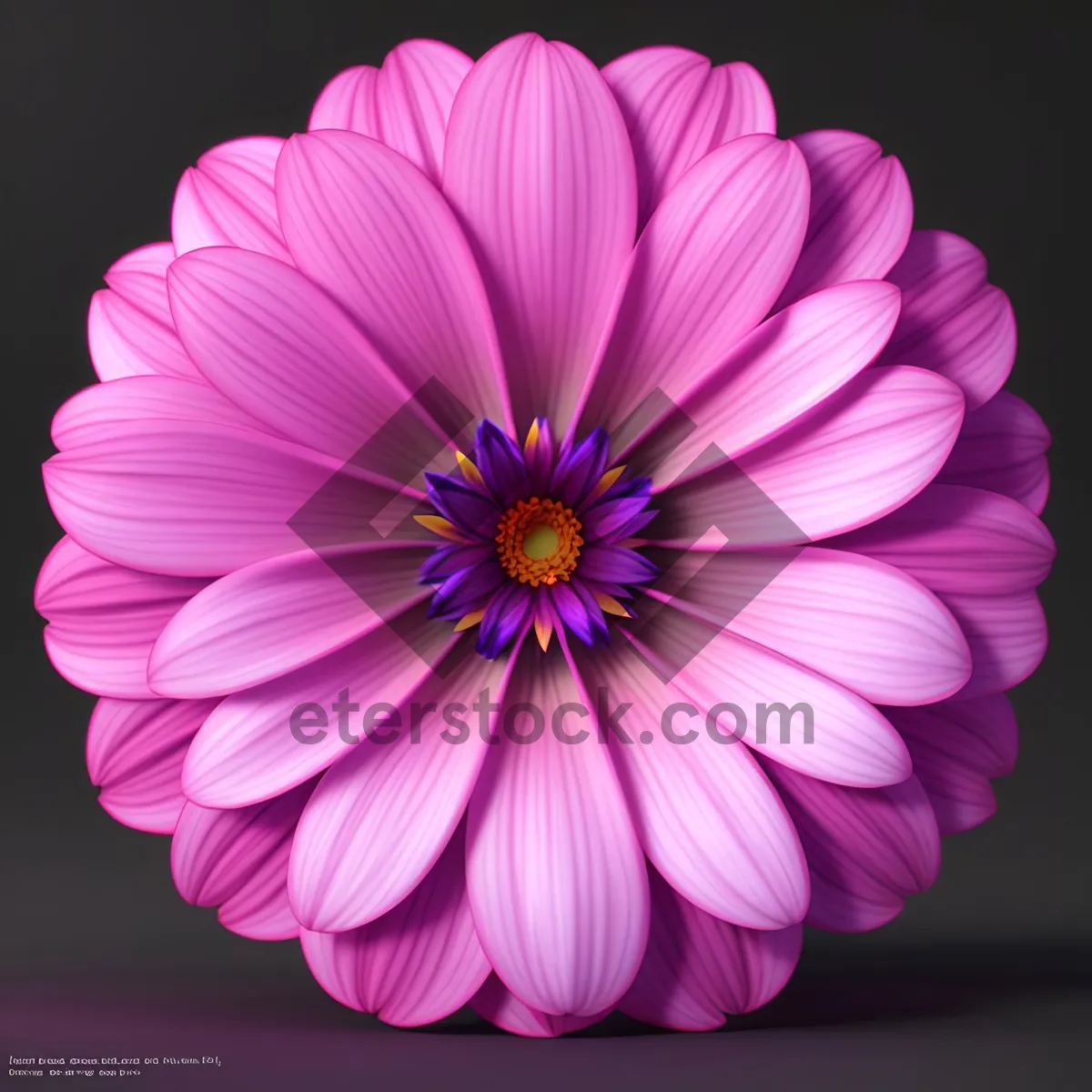 Picture of Purple Petal Bloom: Vibrant Daisy in Floral Garden