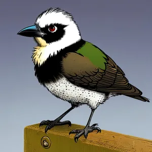Woodpecker on Branch: Wild Avian Beauty with Striking Beak