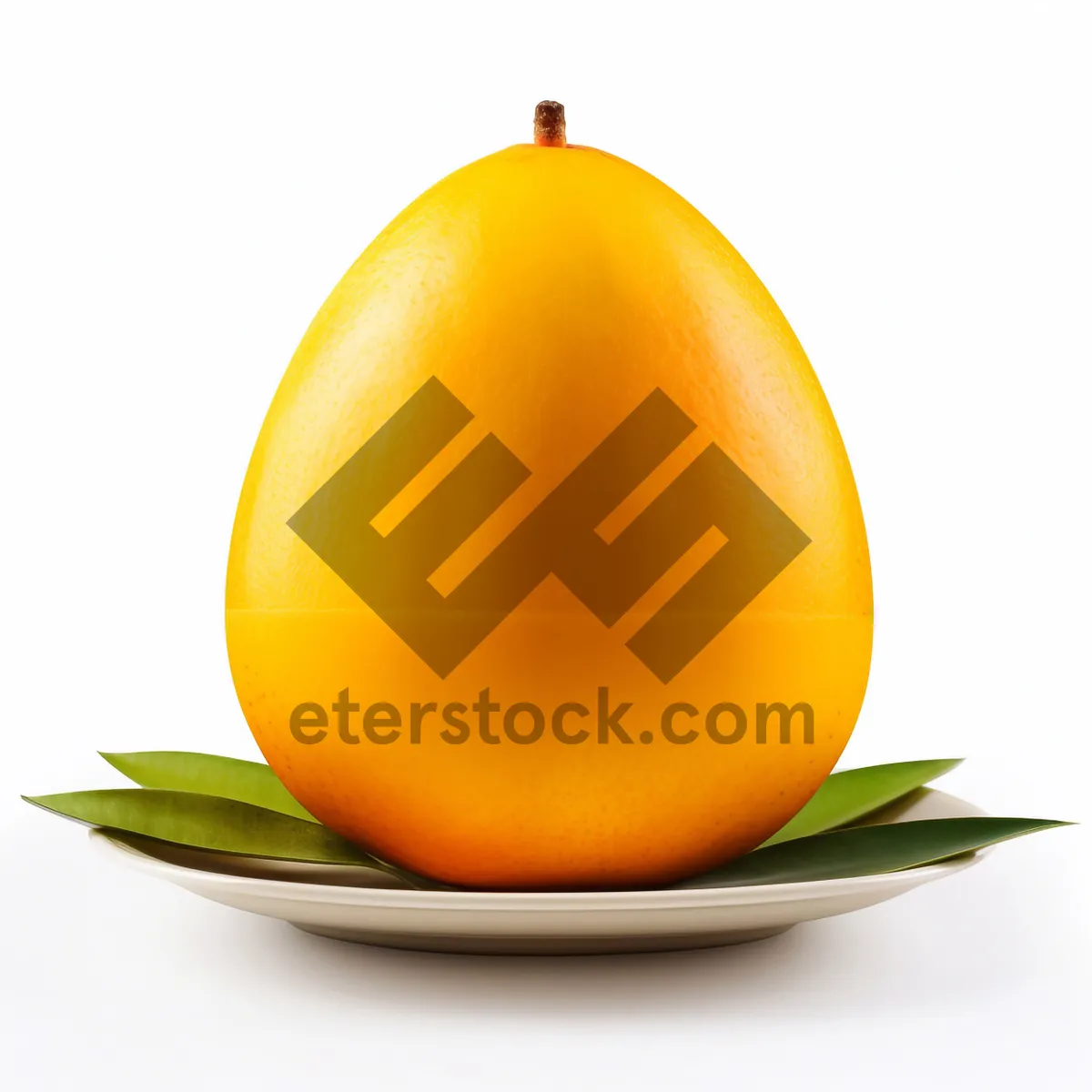 Picture of Orange glossy web icon set with hen symbol