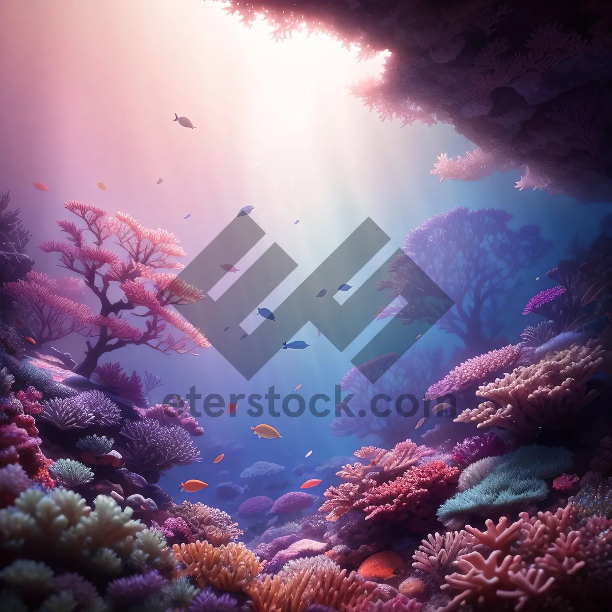 Picture of Colorful Coral Reef Underwater Paradise