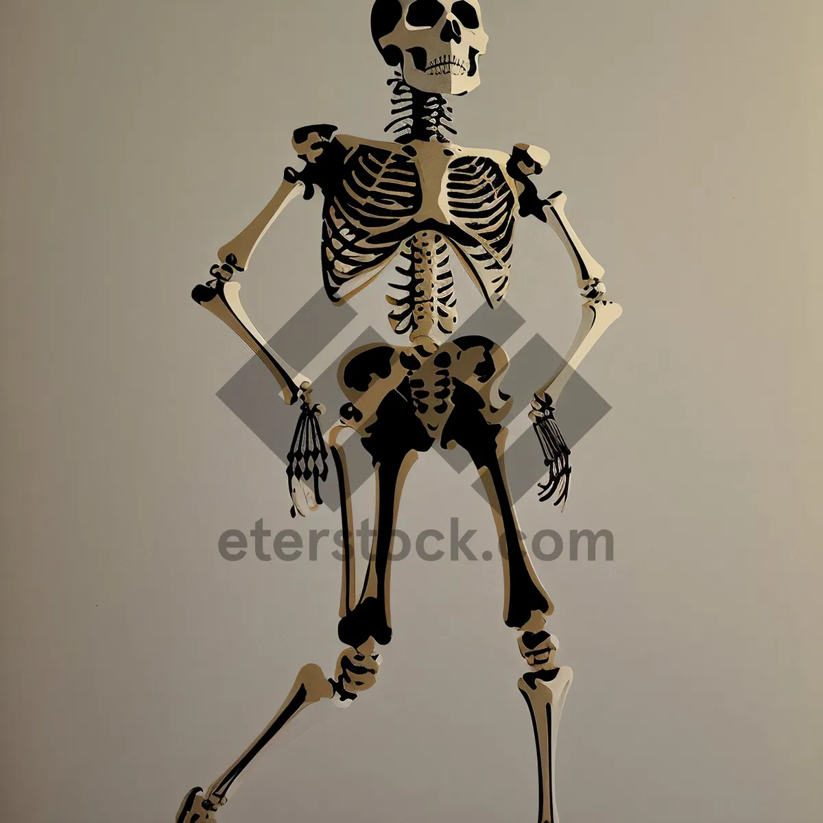 Picture of Anatomical Spine Skeleton 3D Science Image.