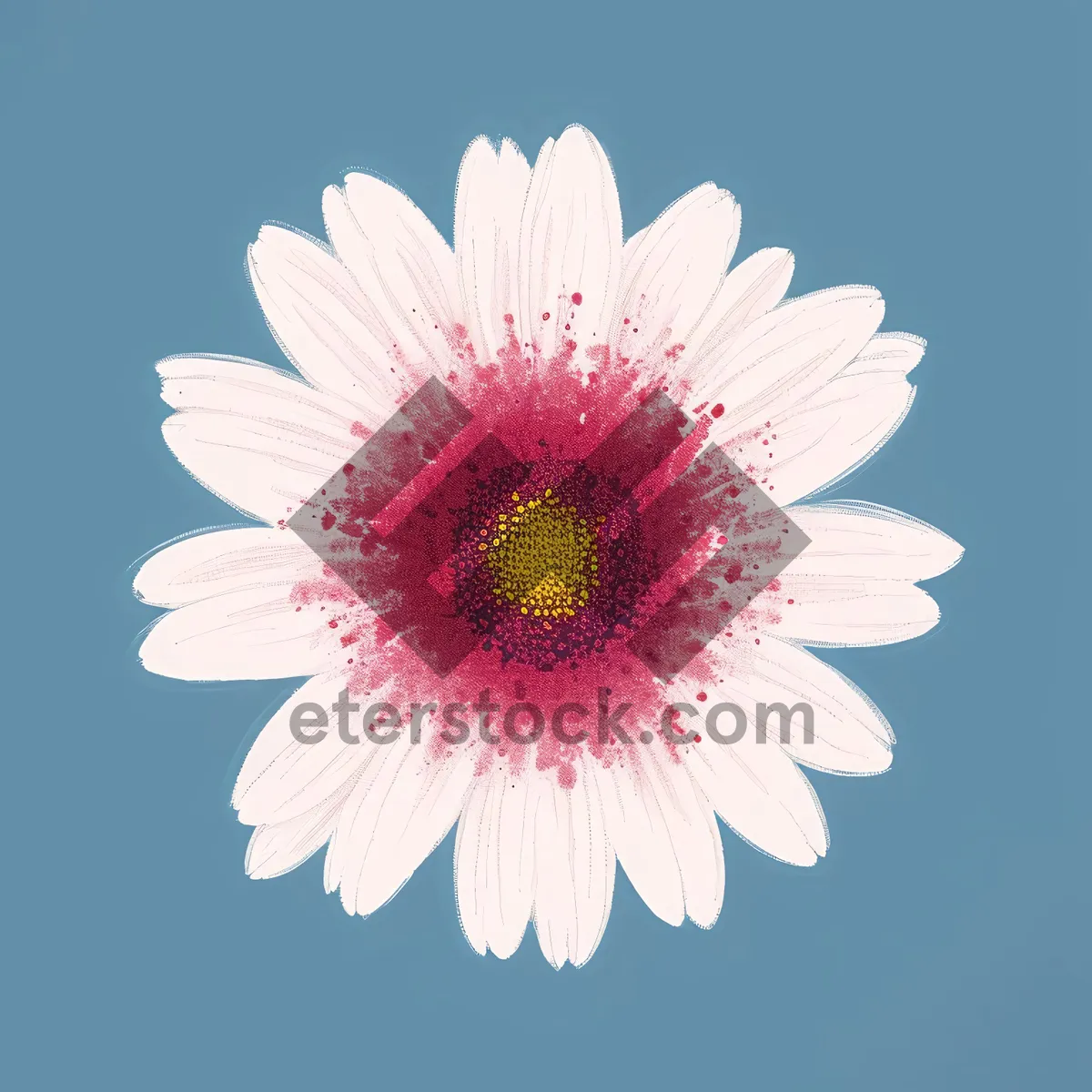 Picture of Bright Pink Daisy Closeup Detail in Garden