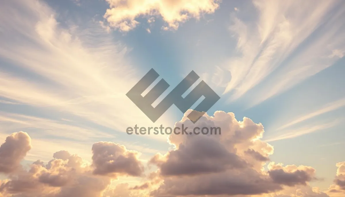 Picture of Summer sky with fluffy clouds and bright sunlight.