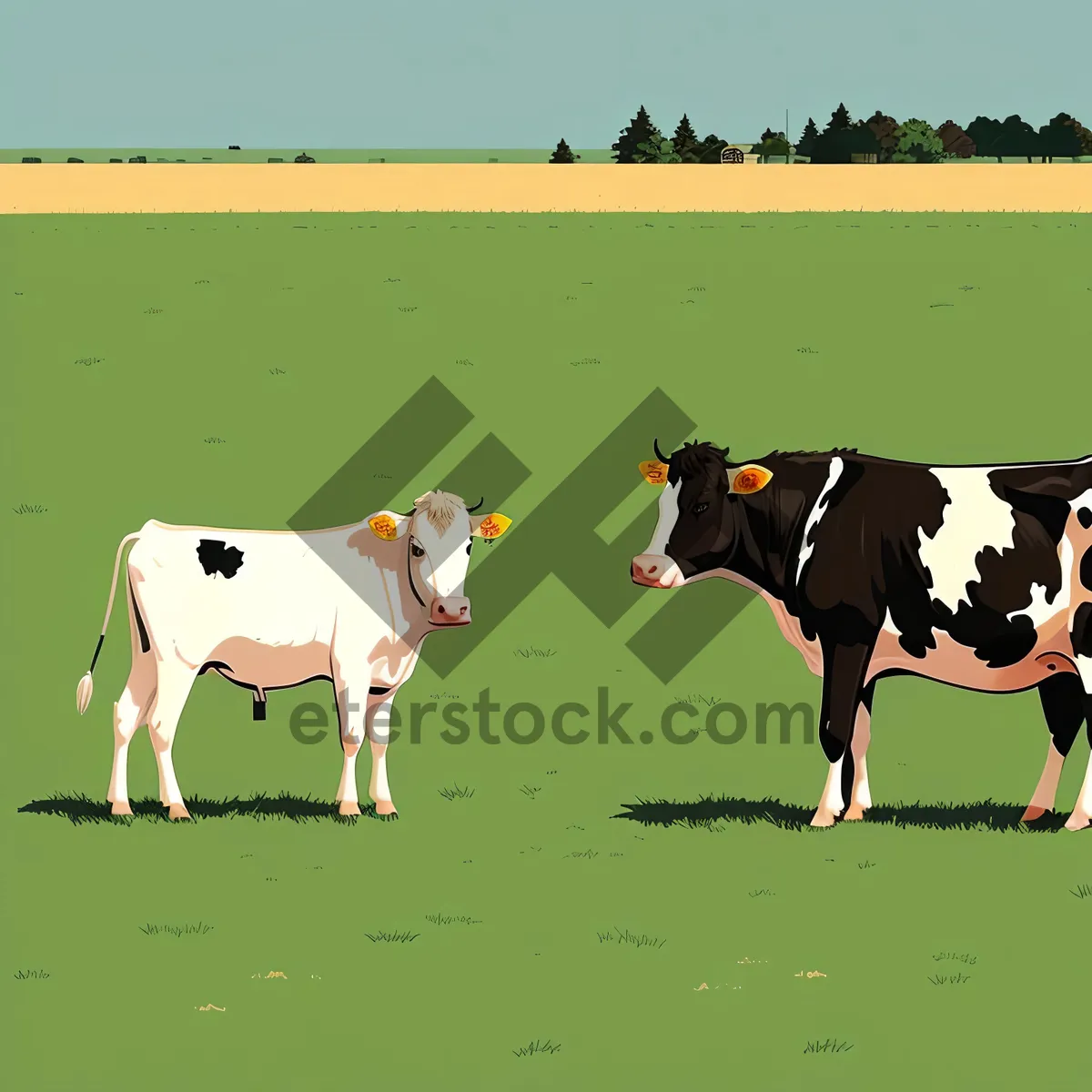 Picture of Idyllic Black Bulls Grazing on Rural Meadow