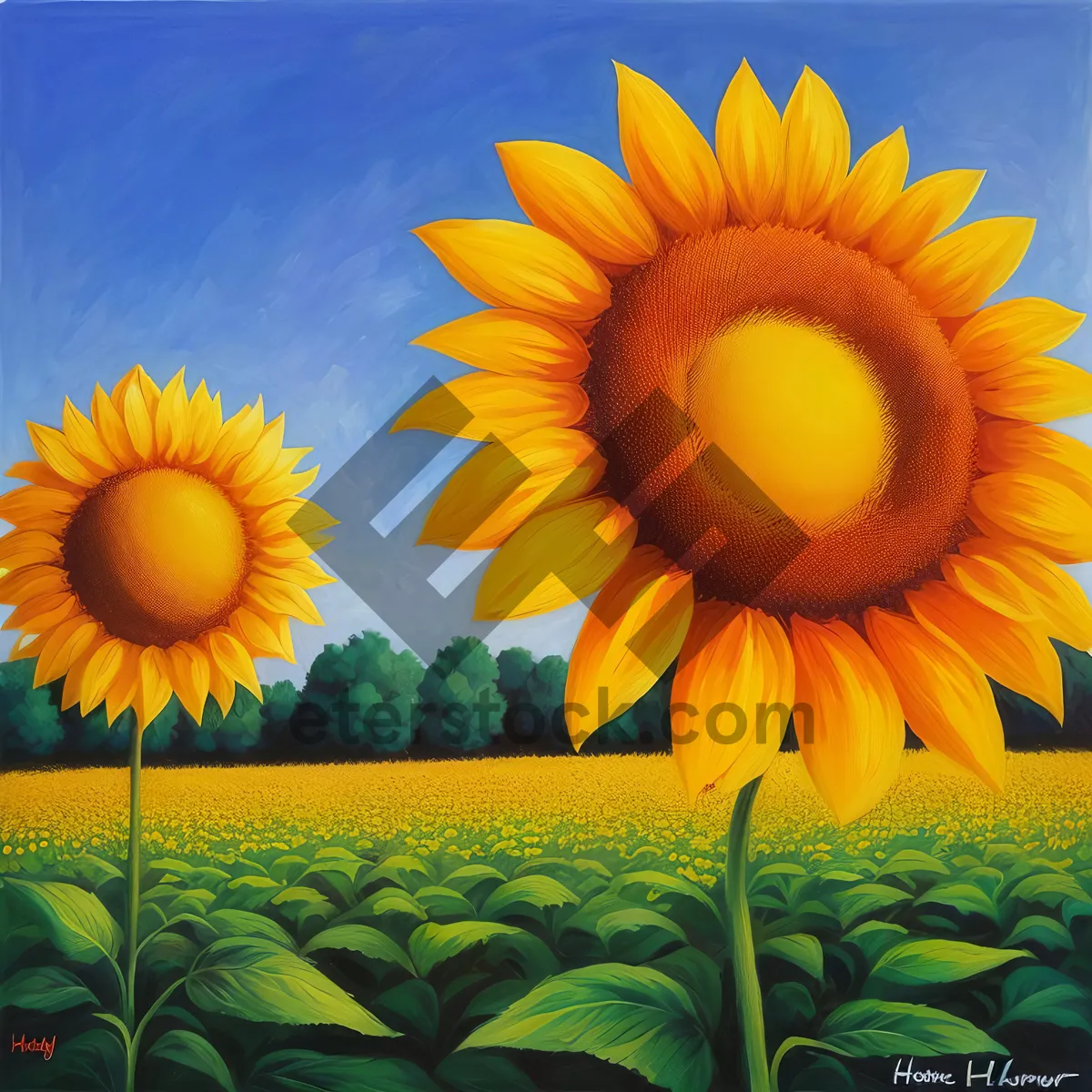 Picture of Bright Sunflowers in Vibrant Yellow Field