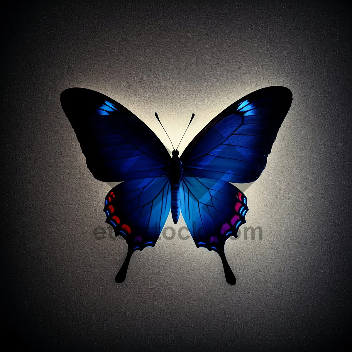 Picture of Colorful Butterfly with Wing Gem on Herb Viola