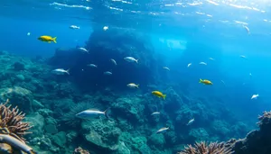 Tropical coral reef with barracuda swimming underwater