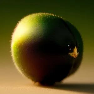 Fresh Tennis Ball Apple: Healthy Edible Fruits