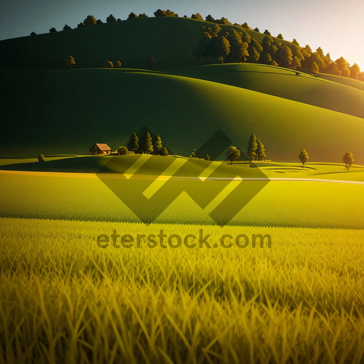 Picture of Golden Wheat Field at Sunset