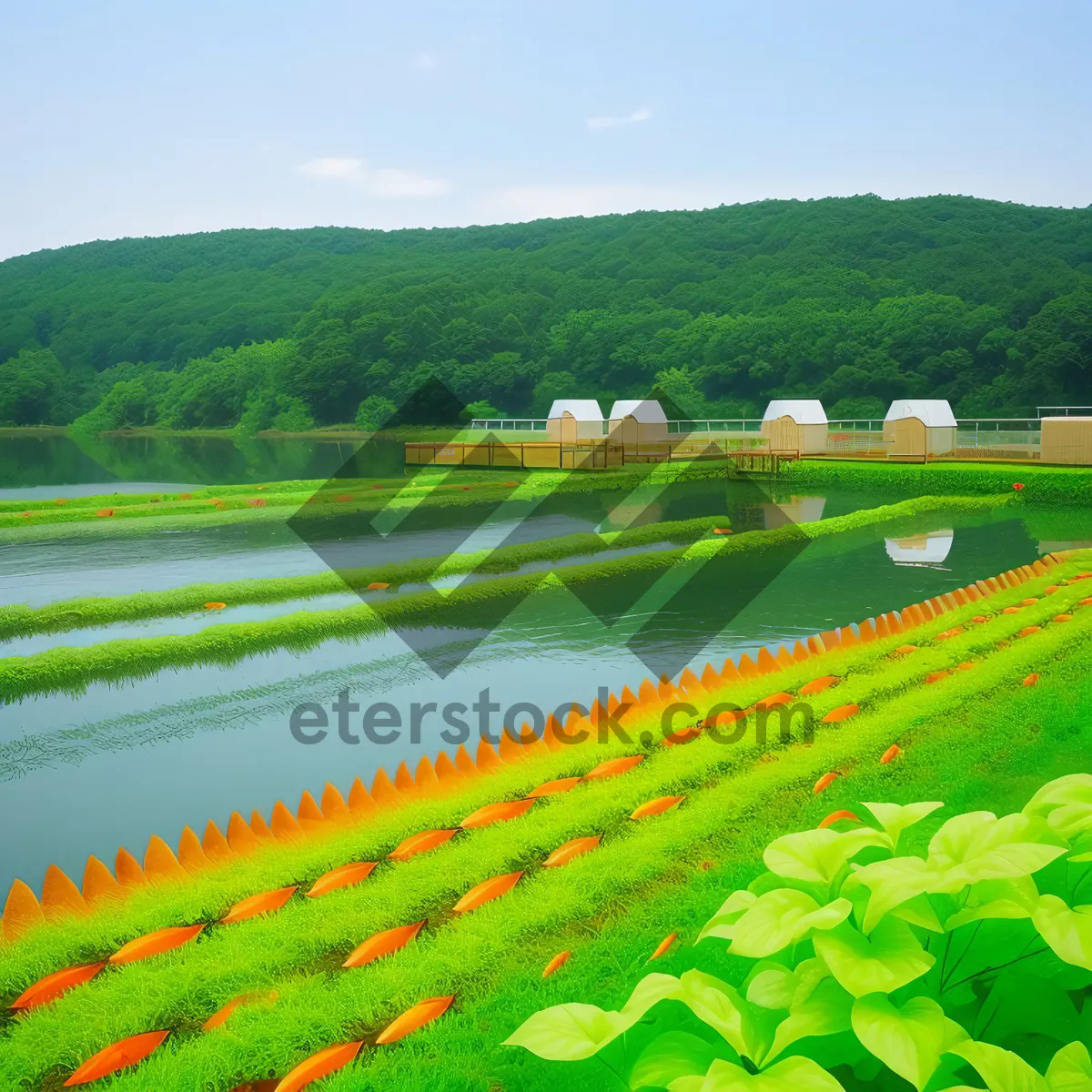 Picture of Bountiful Spring Crop on Scenic Farm