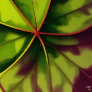 Colorful Fractal Motion: Artistic Digital Wallpaper