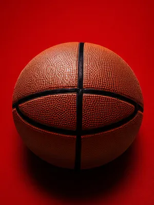 Black Protective Screen Sphere for Basketball Equipment