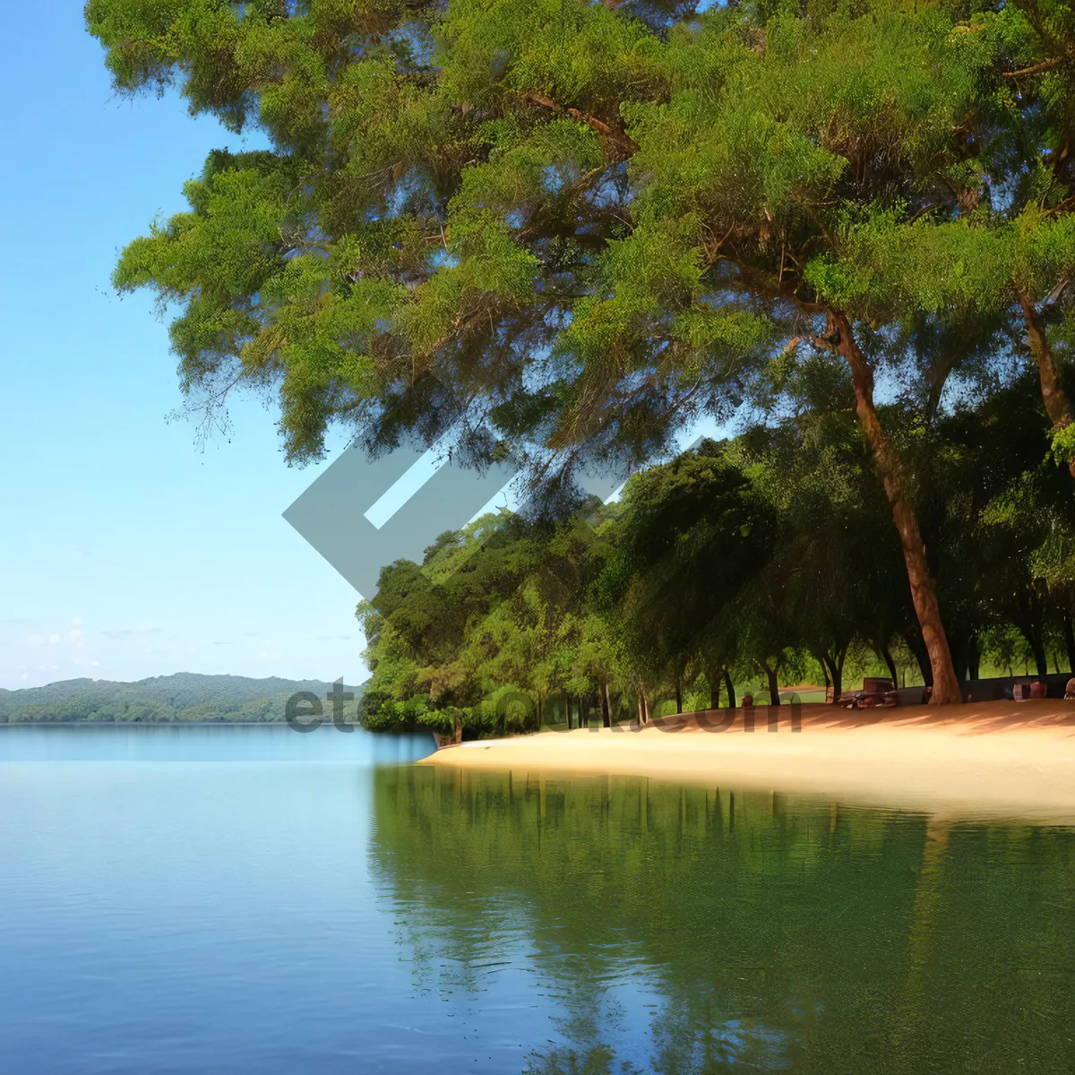 Picture of Serene Lake amidst Lush Forest and Clear Skies