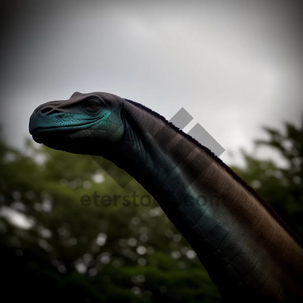 Picture of Tropical Underwater Eye of Eel Fish