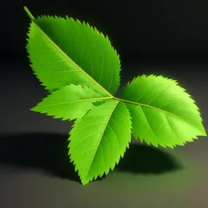 Lush Foliage in Forest: Vibrant Green Leaves