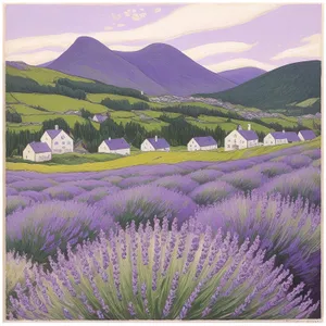 Serene Lavender Meadow Blooming with Vibrant Purple Sage